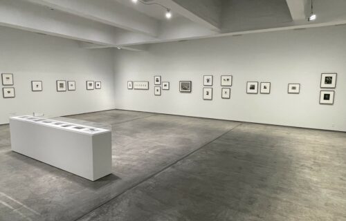 Inventing Objects: Jay DeFeo’s Photographic Work @Paula Cooper