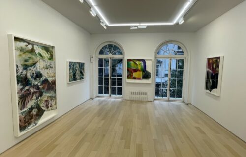 Mariah Robertson, Everything counts & local reality @Van Doren Waxter