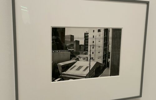 Thomas Struth @MoMA