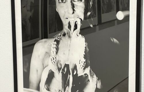 Carolee Schneemann @PPOW