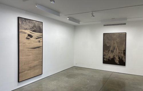 Clifford Ross: Prints on Wood @Ryan Lee