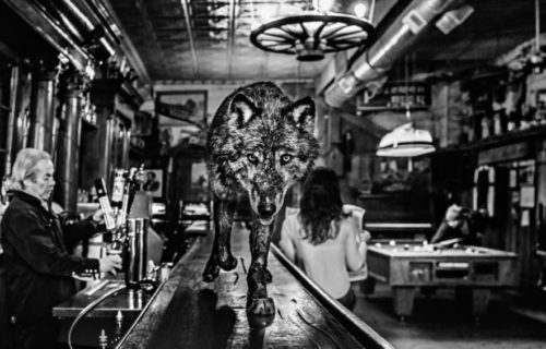 Auction Results: Photographs, April 10, 2018 @Sotheby’s