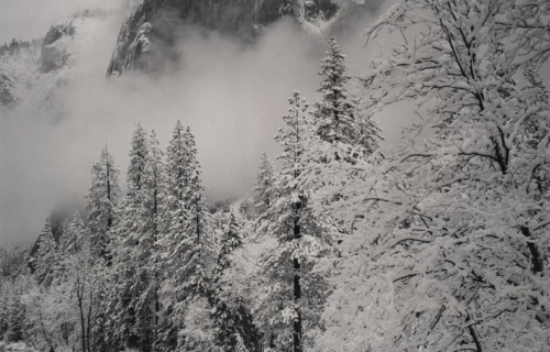 Auction Results: Photographs, October 5, 2023 @Sotheby’s (online)