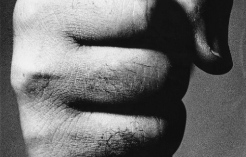 Auction Results: Pier 24 Photography from the Pilara Family Foundation Day Sale, May 2, 2023 @Sotheby’s