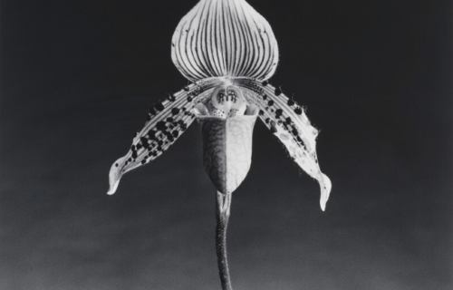 Auction Results: The Emily Fisher Landau Collection: An Era Defined, December 15, 2023 @Sotheby’s (online)